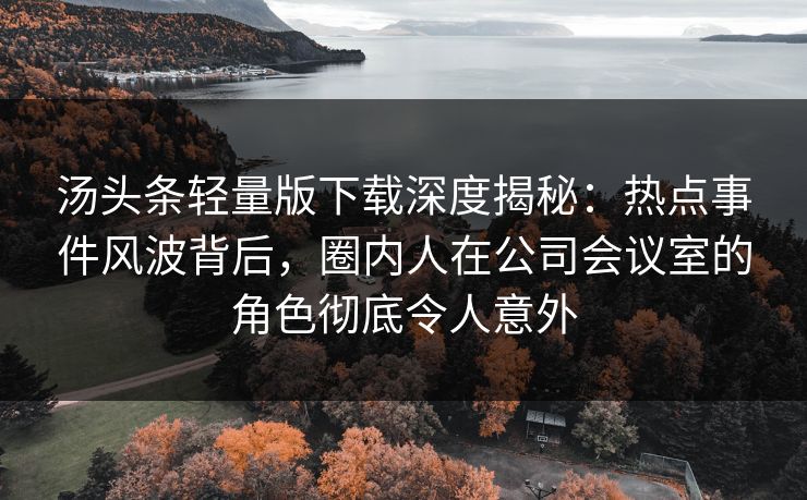 汤头条轻量版下载深度揭秘：热点事件风波背后，圈内人在公司会议室的角色彻底令人意外