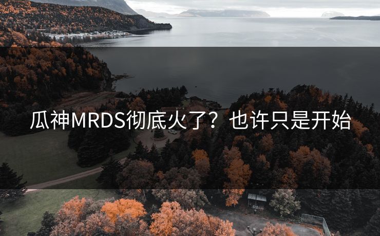 瓜神MRDS彻底火了？也许只是开始