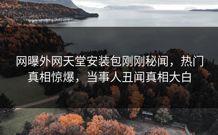 网曝外网天堂安装包刚刚秘闻，热门真相惊爆，当事人丑闻真相大白